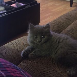 Meet your Posher, Maria